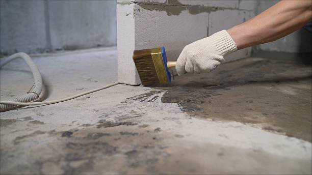 SJ Waterproofing Pros Waterproofing coverage map for Centreville, MD and surrounding area